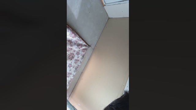 parejaLiberal25  01-11-2022